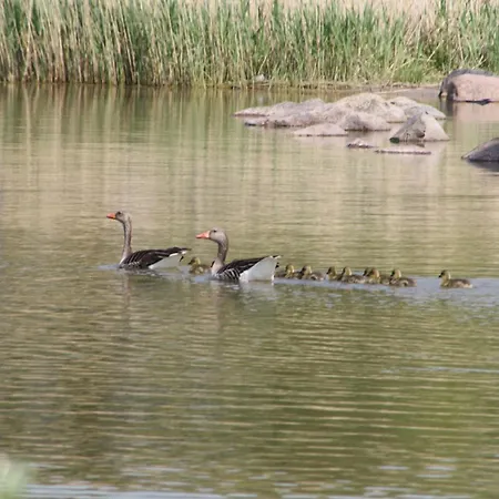 Grosszuegiges Am Krakower Inkl Boot Und Badesteg * קרקוב אם זיי