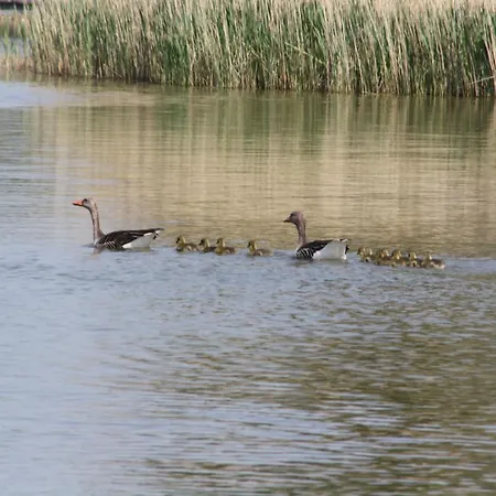 בית נופש Grosszuegiges Am Krakower Inkl Boot Und Badesteg