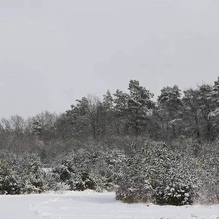 Grosszuegiges Am Krakower Inkl Boot Und Badesteg * קרקוב אם זיי